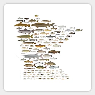 Fishes of Minnesota Sticker